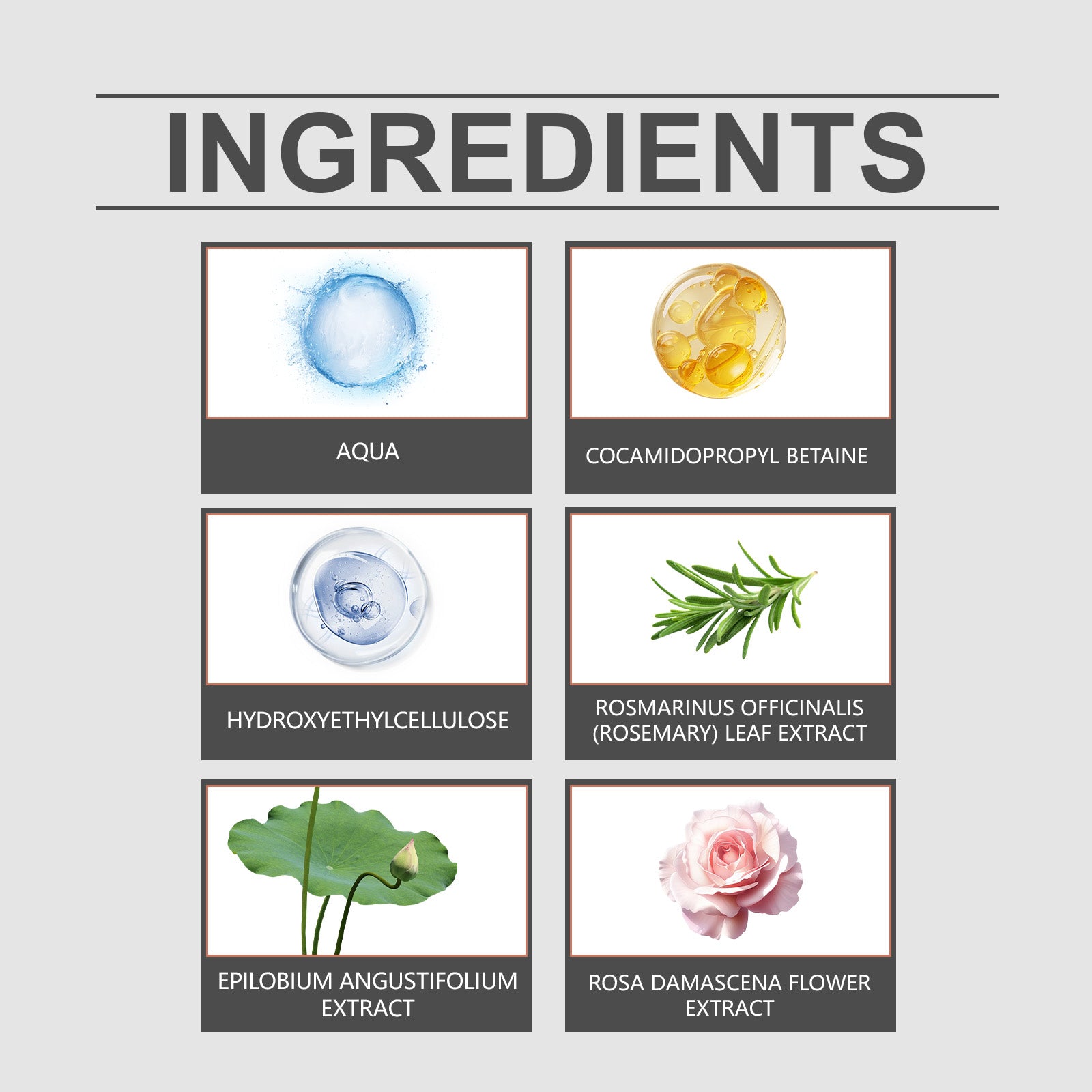 Hoegoa Shampoo Gentle Shampoo Oil Control Anti-Dandruff Fluffy Soft Cleansing Scalp Shampoo