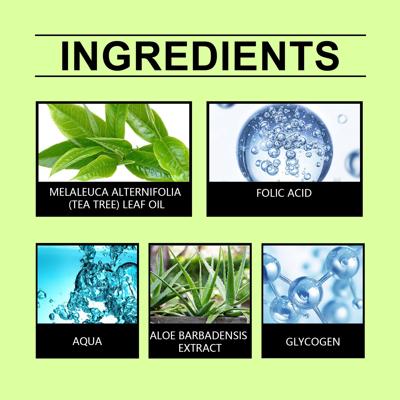 Hoegoa Hair Care Tea Tree Essential Oil Nourishes Hair Repair Dry Split Ends Dry Dry Leave-In Pure Tea Essential Oil