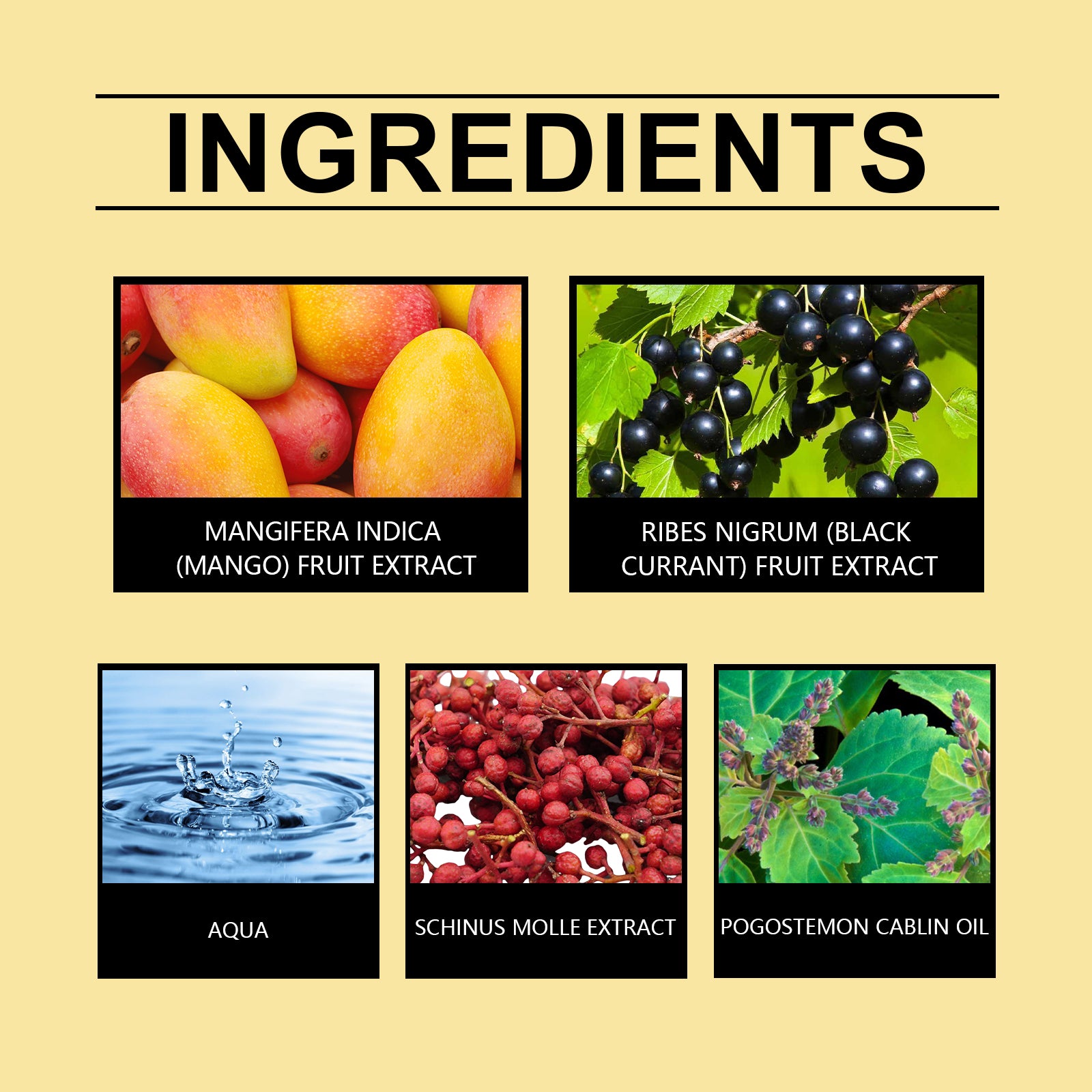 Roxelis Juicy Mango Perfume Spray For Body, Skin, Wrist And Neck