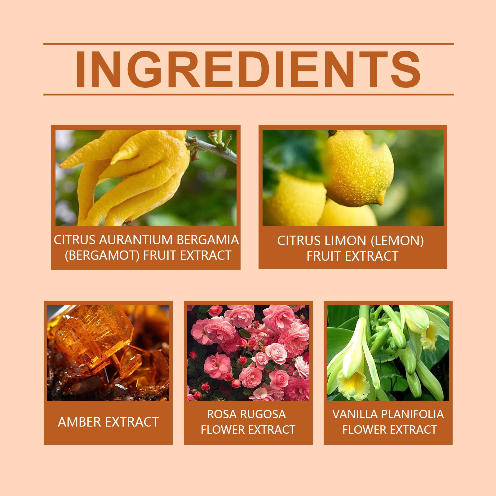 Roxelis Amber Cologne Classic Perfume, Lasting Fresh Fragrance Charm Amber Fresh Natural Fragrance Light Elegant Cologne