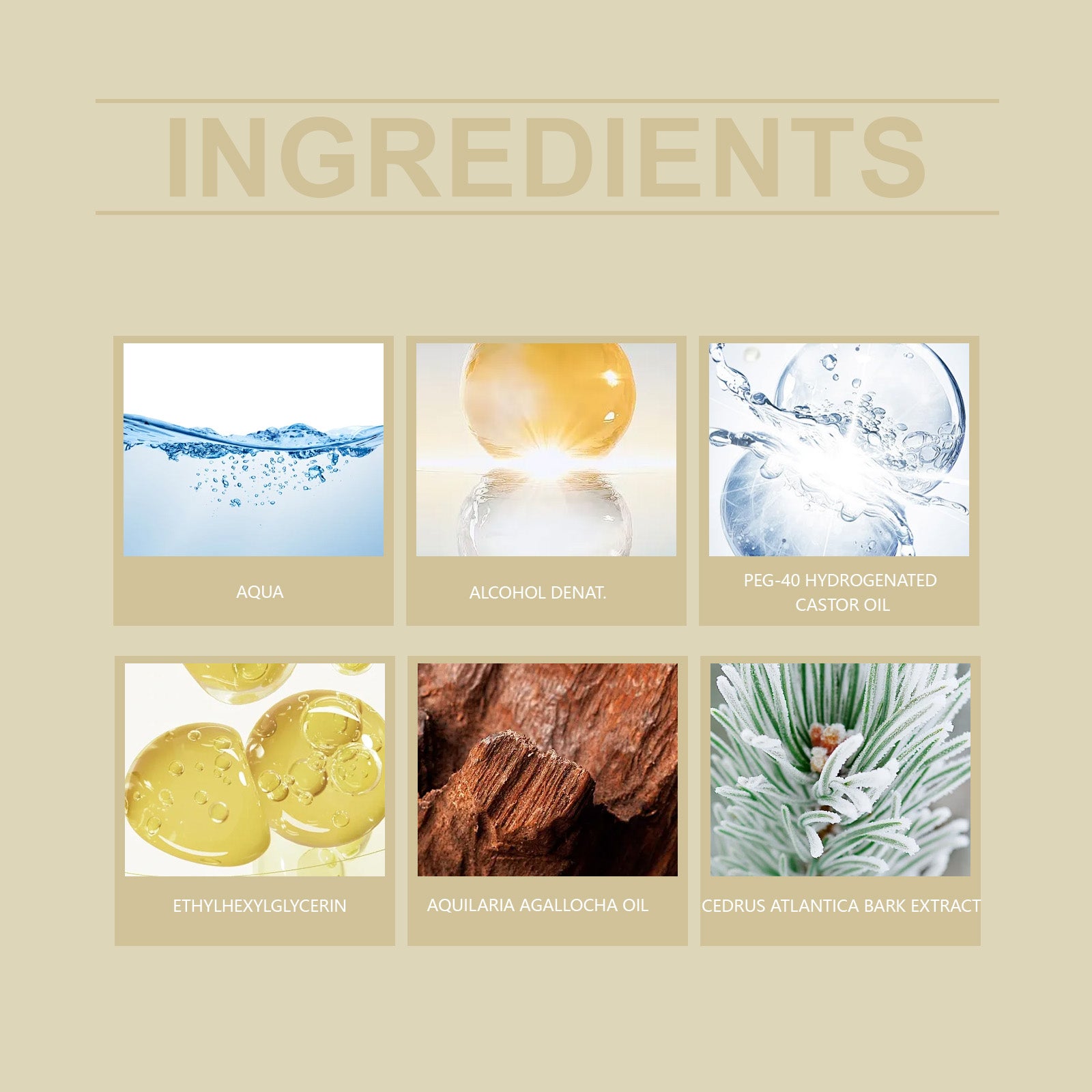 Roxelis Aloes Cedar Wood Perfume Daily Portable Lasting Fragrance Fresh And Elegant Niche Exudes Charm Fragrance