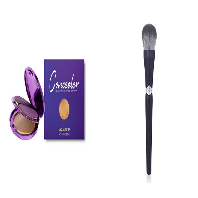 Efficient Concealer Plate