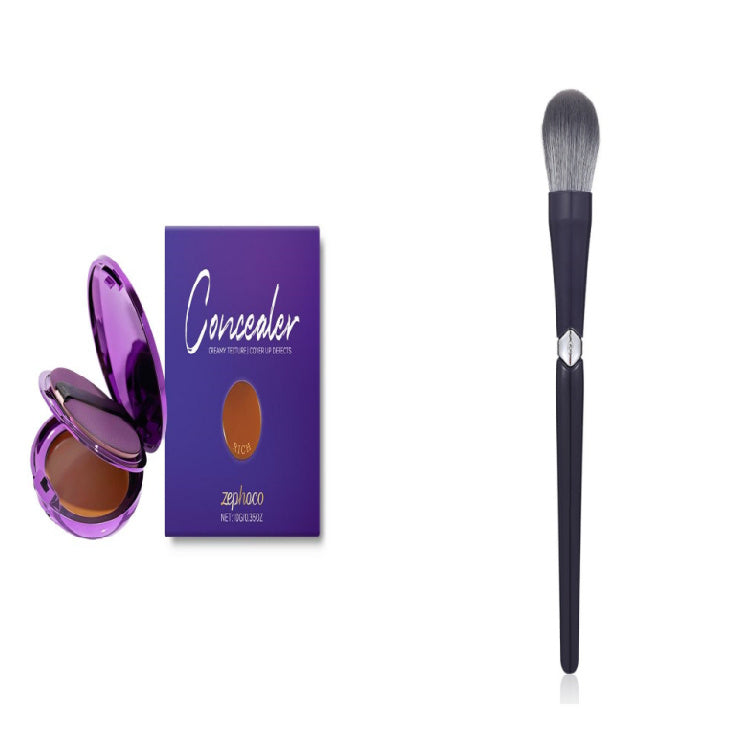 Efficient Concealer Plate